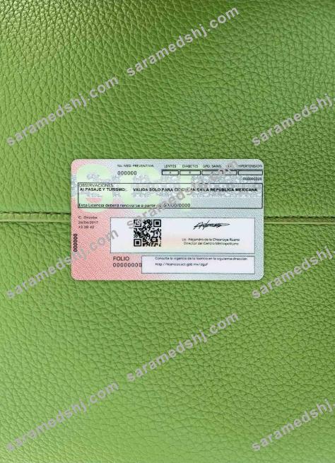 Mexico driving license photolook BACK
